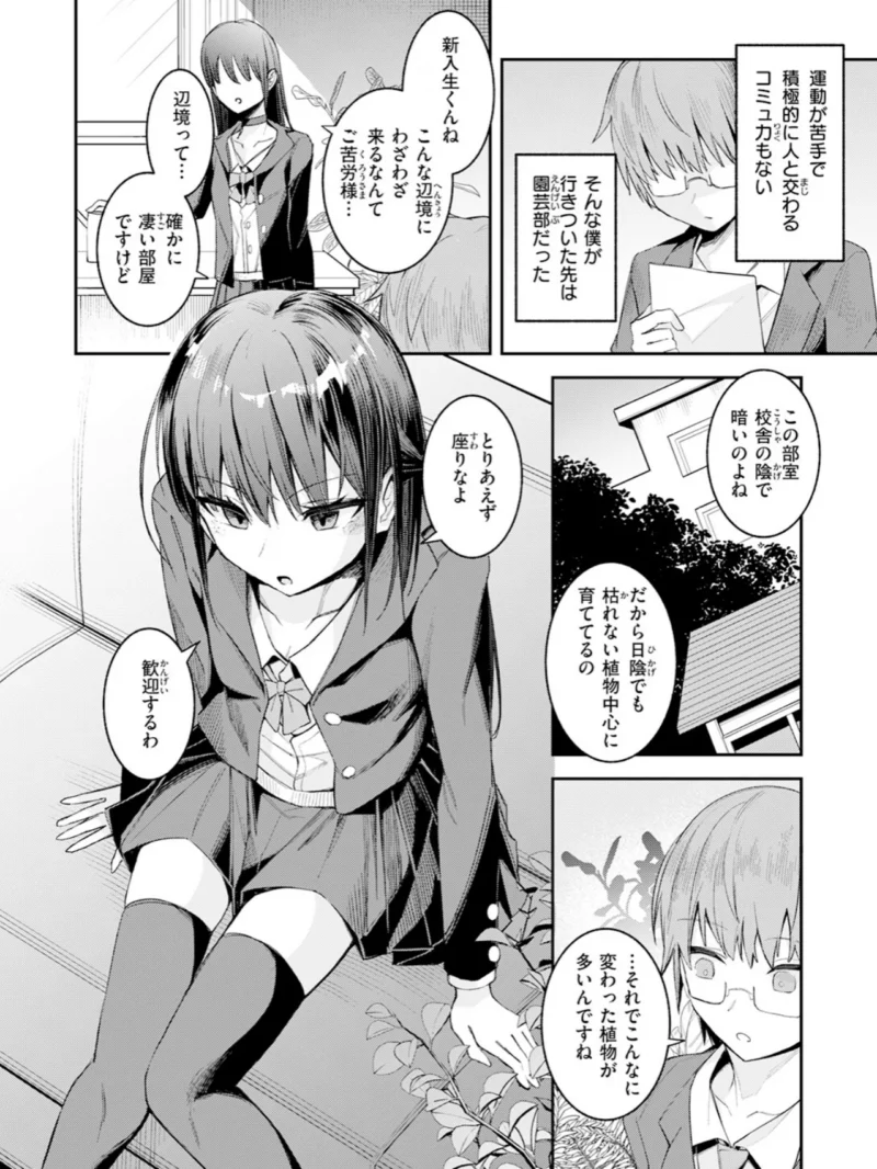 sample 91
