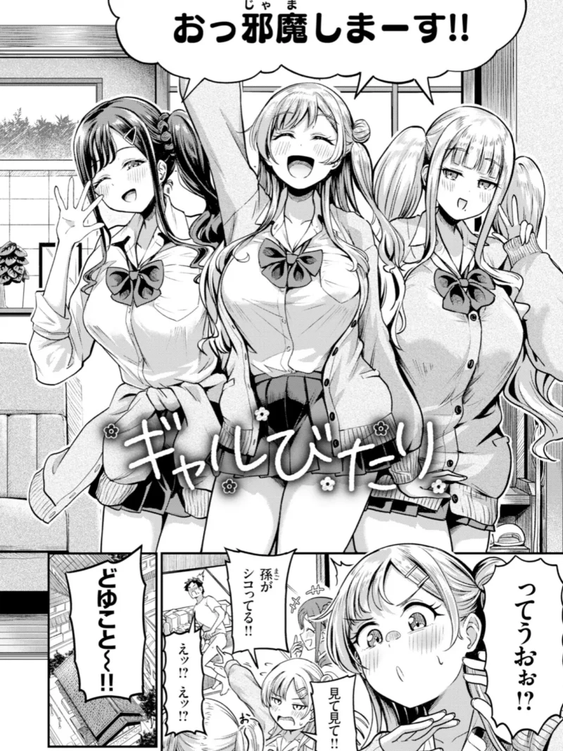 sample 23