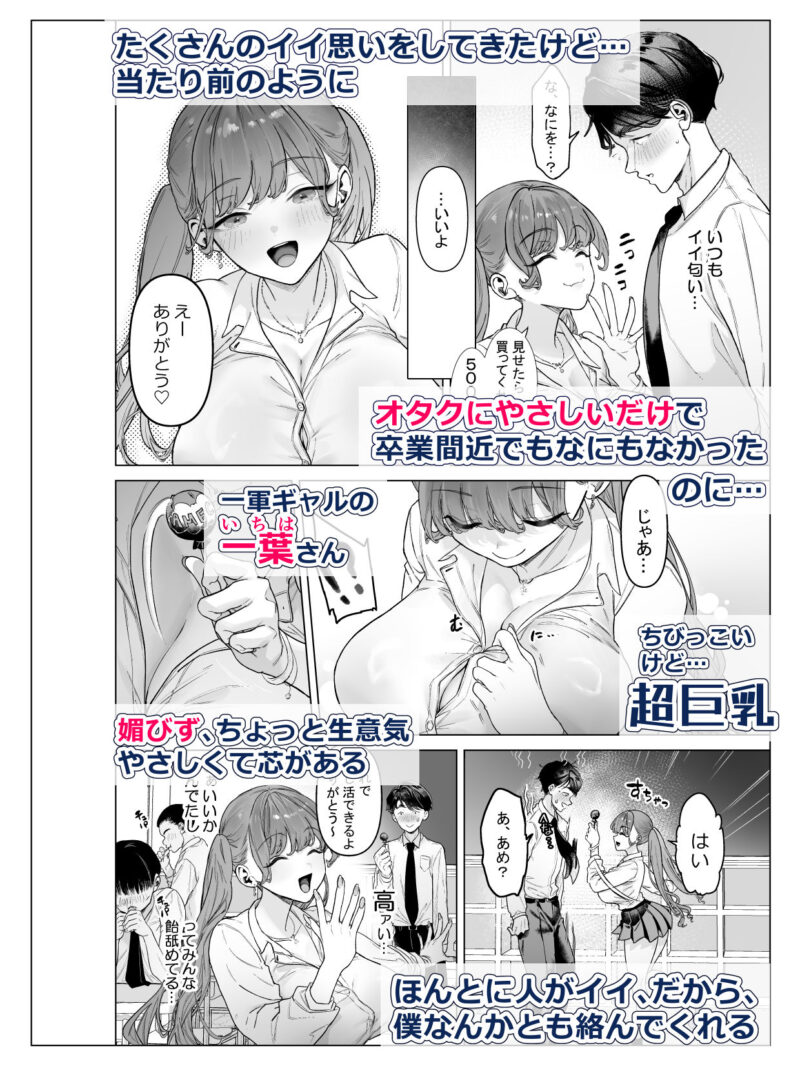 sample 5