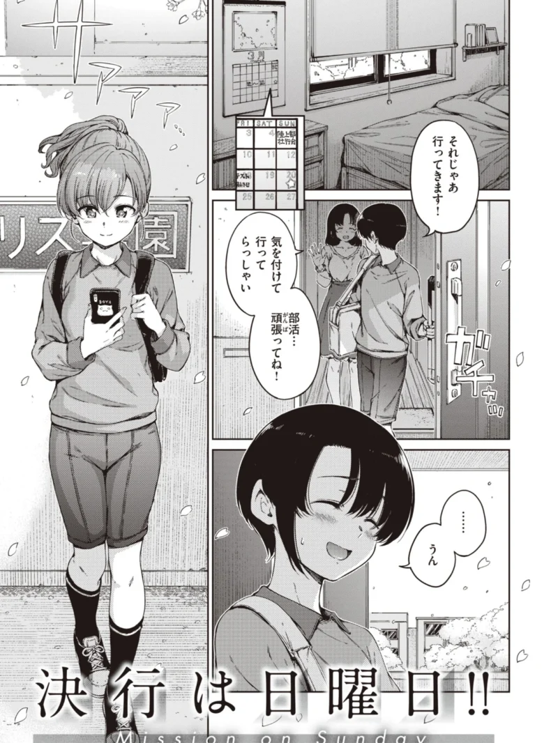 sample 31