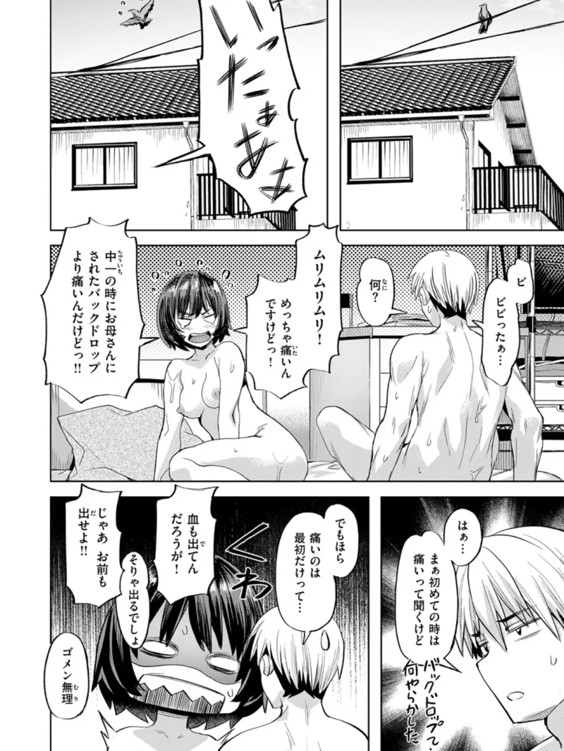 sample 12