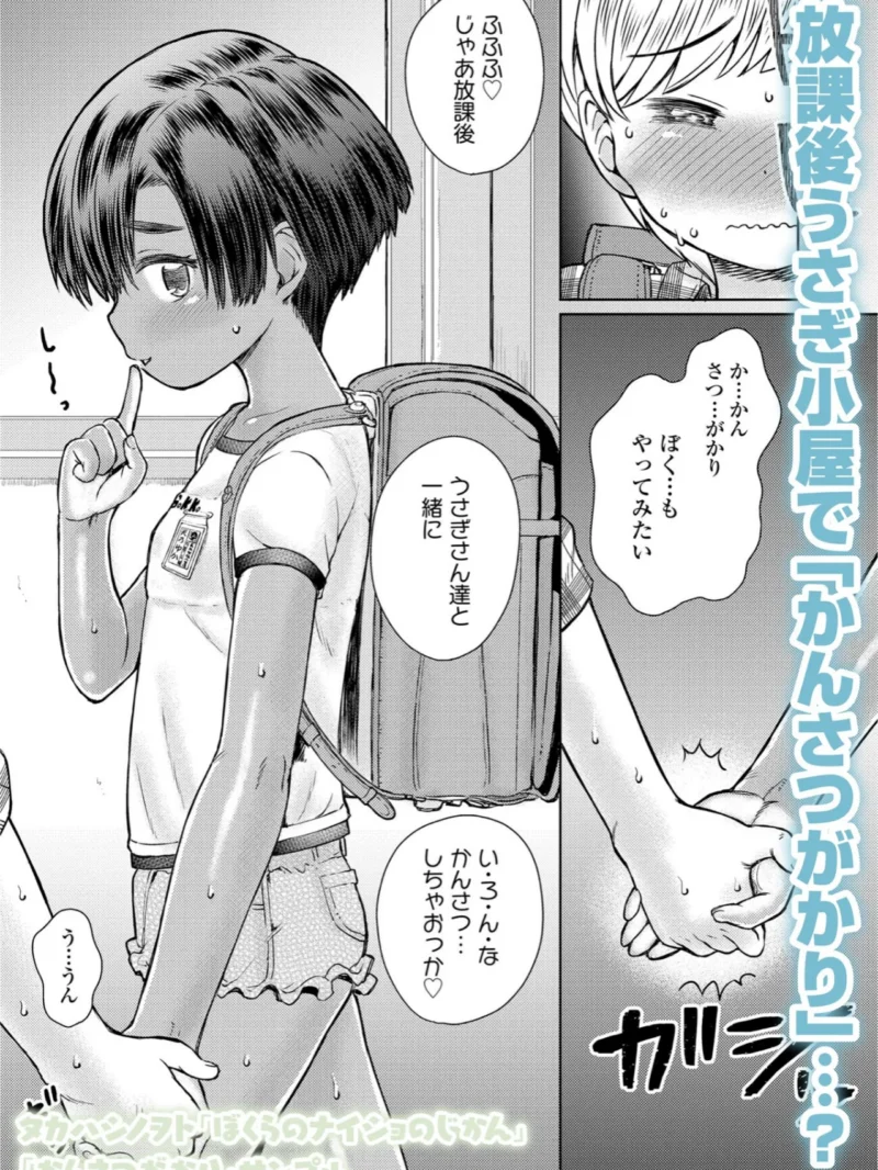 sample 15