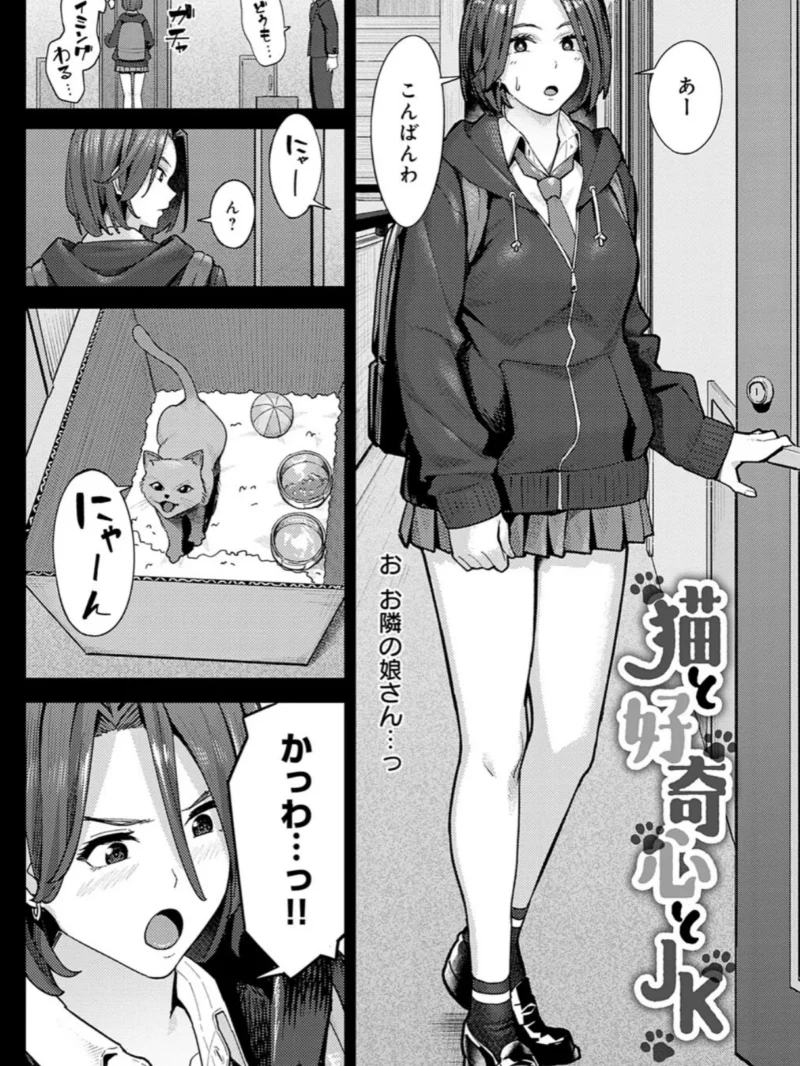 sample 11
