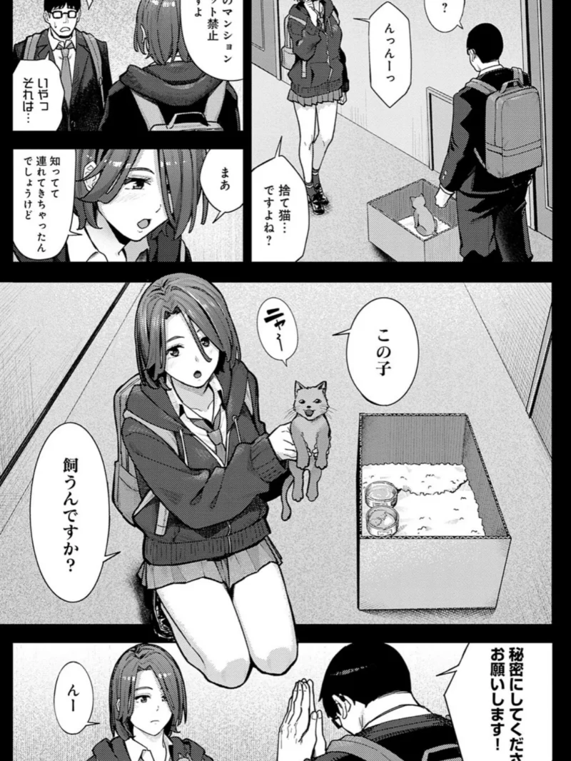 sample 12