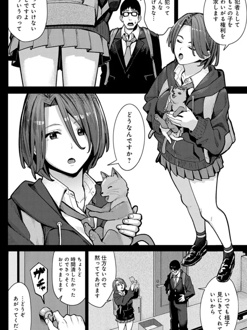sample 13