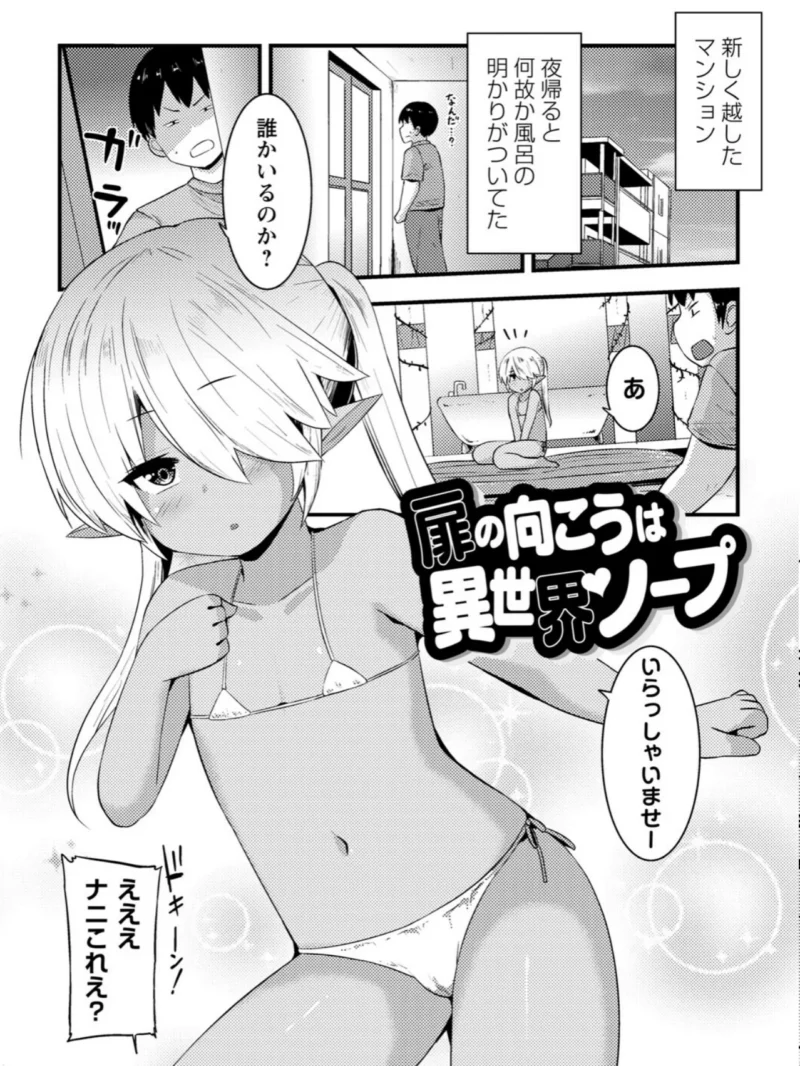 sample 12