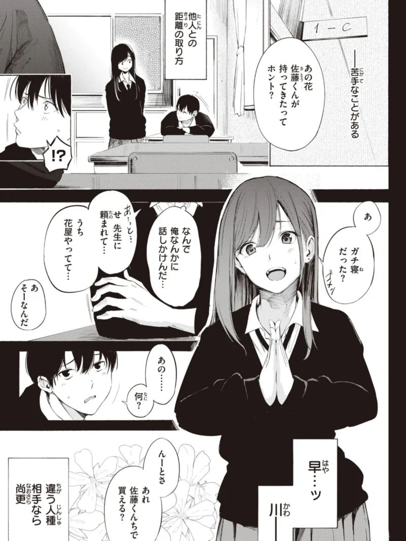 sample 32