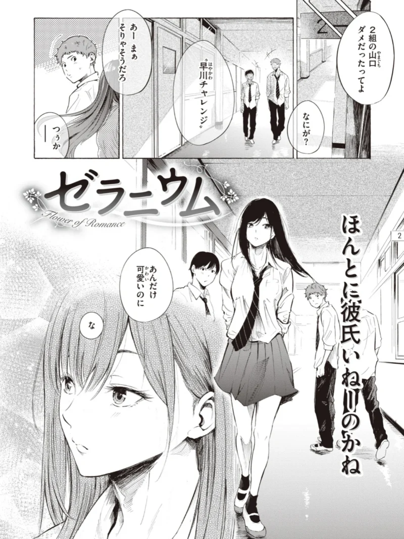 sample 33