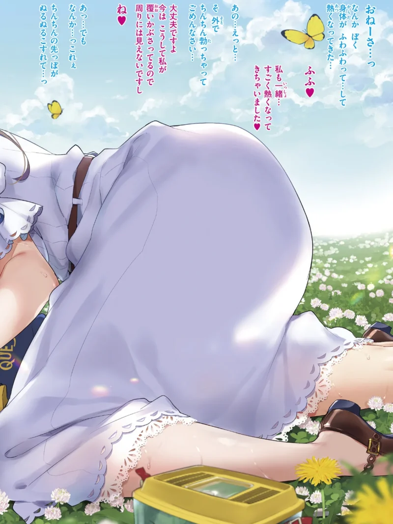 sample 12