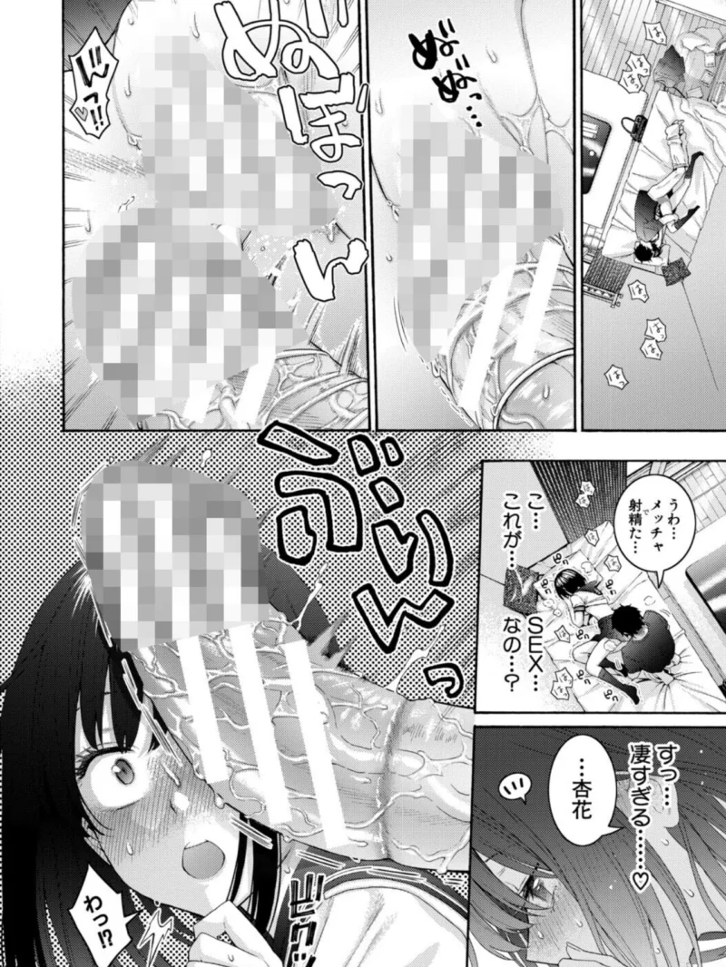 sample 33
