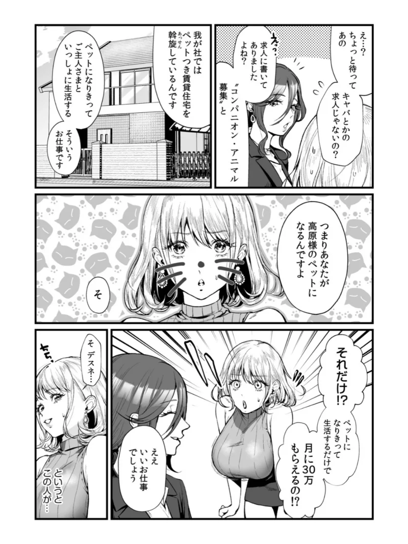 sample 8