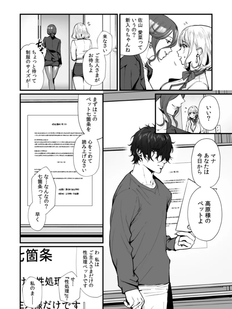 sample 11