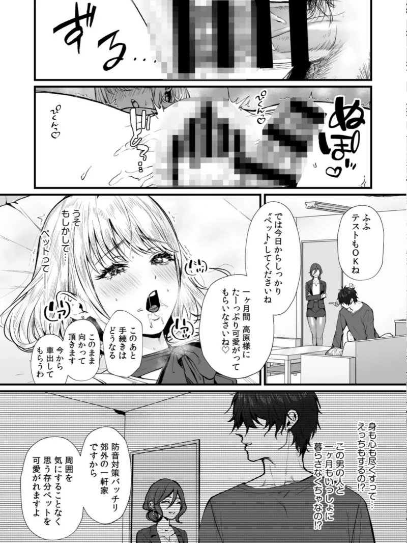 sample 24