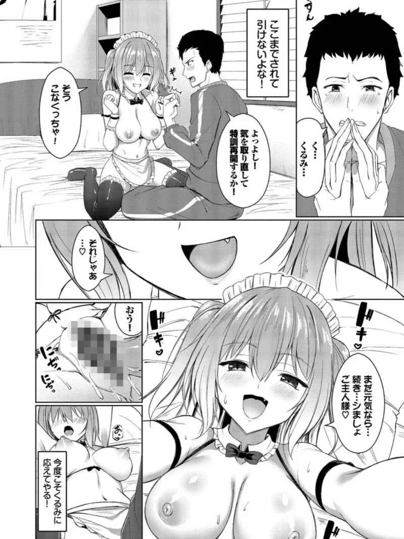 sample 13