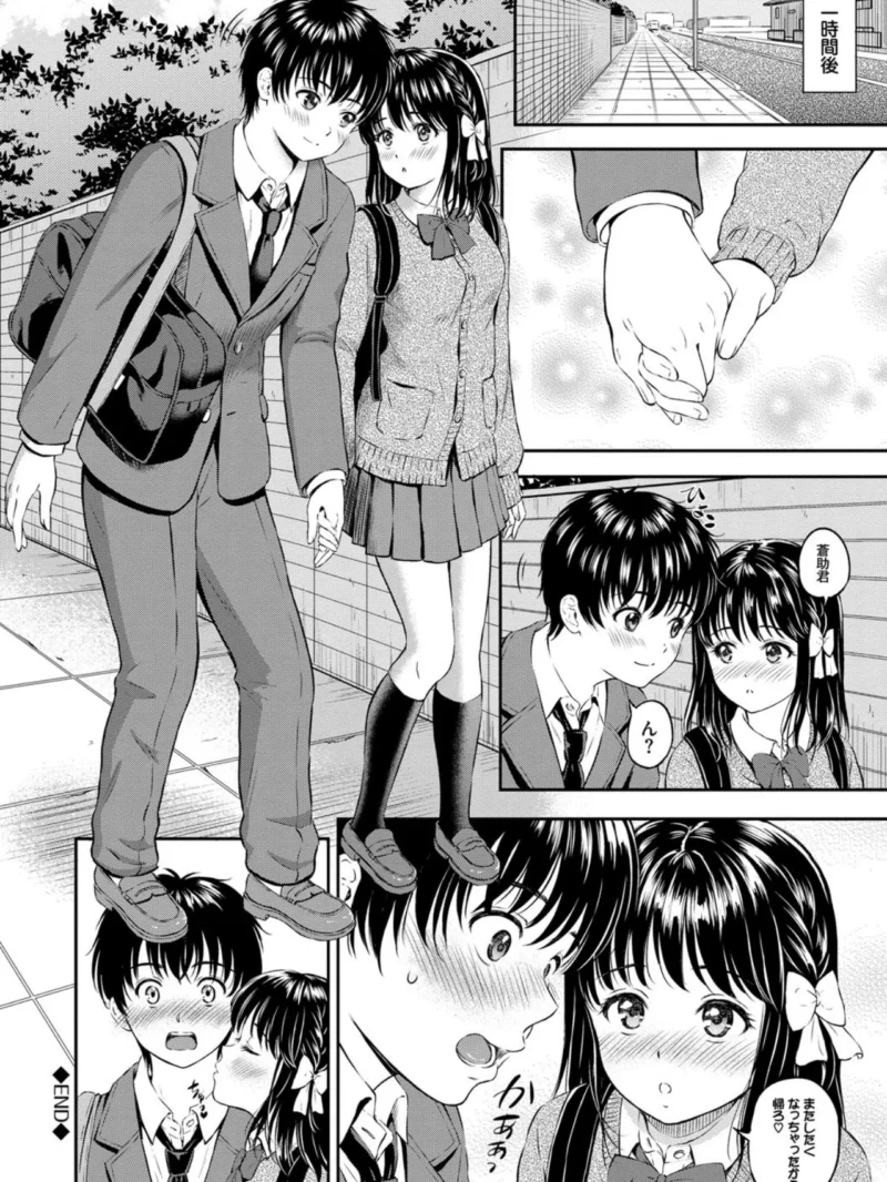 sample 29