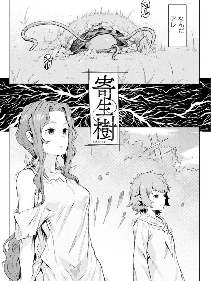 sample 5