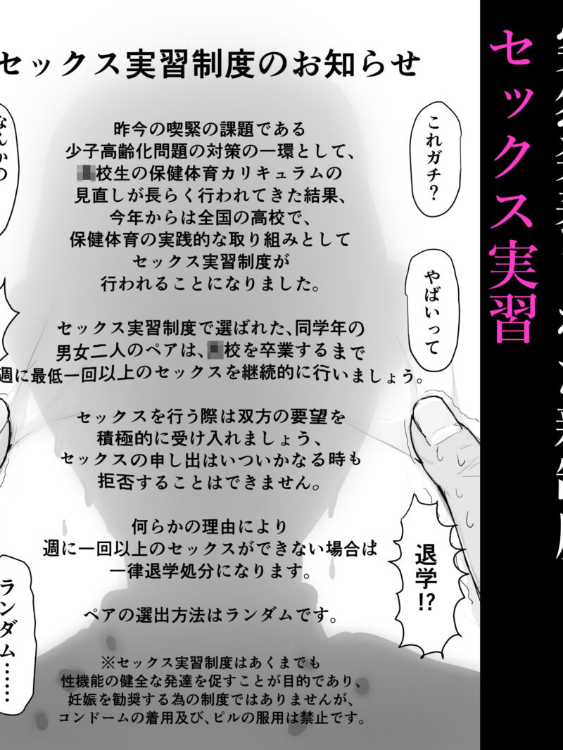 sample 4