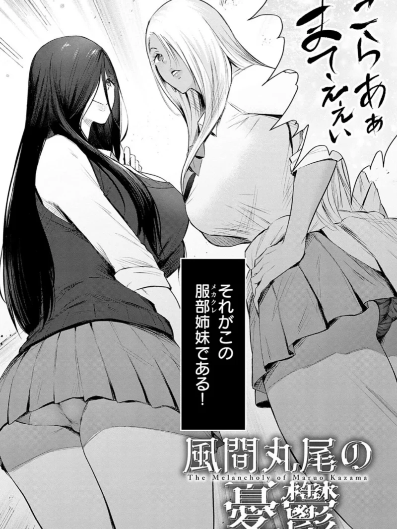 sample 15