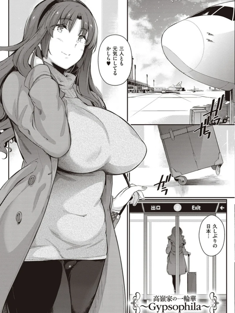 sample 11