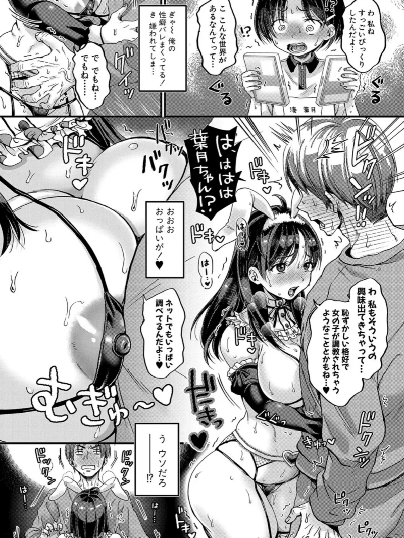 sample 11