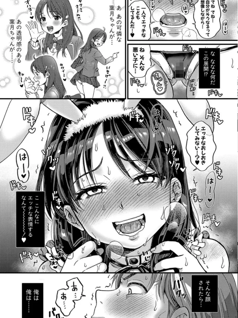 sample 12