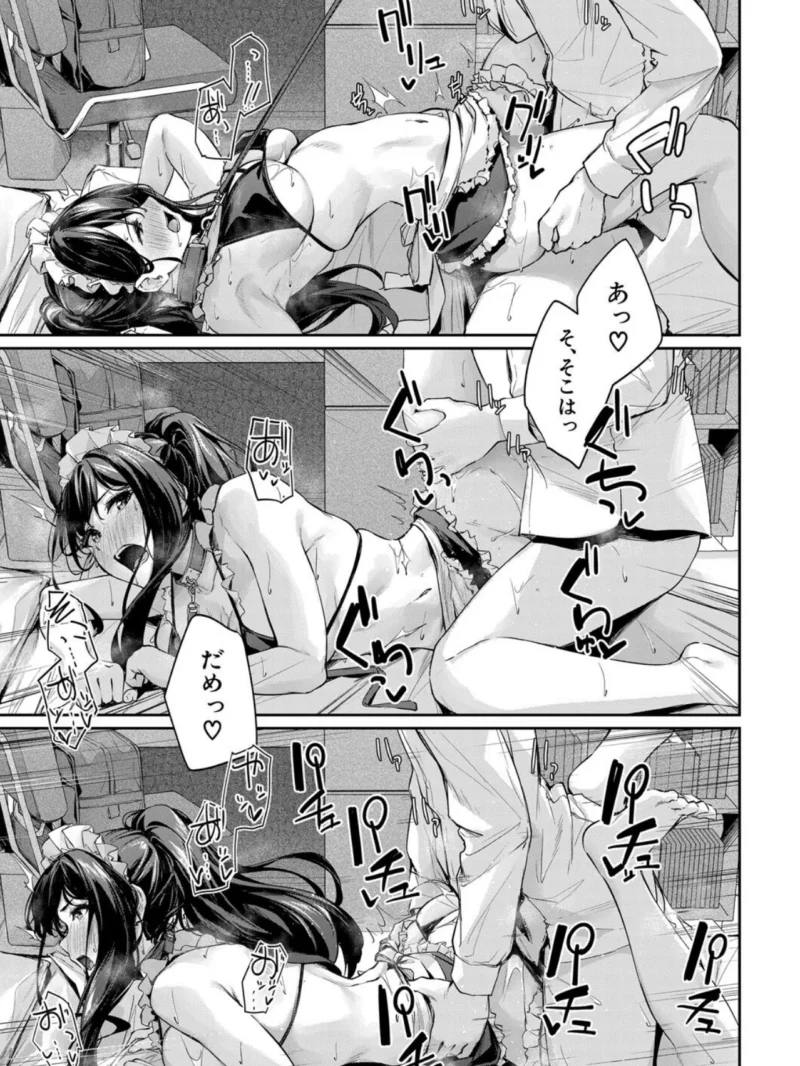 sample 27