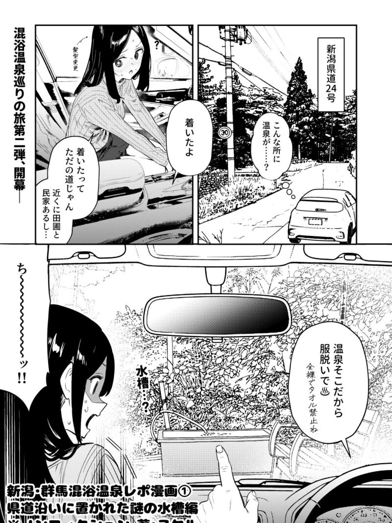 sample 6