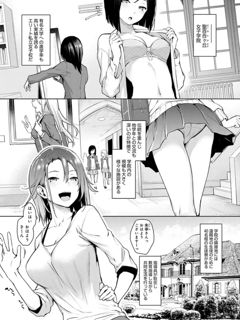 sample 3