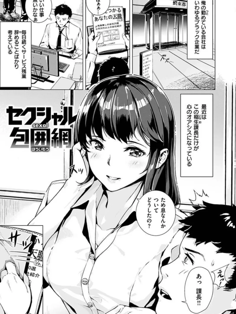 sample 27