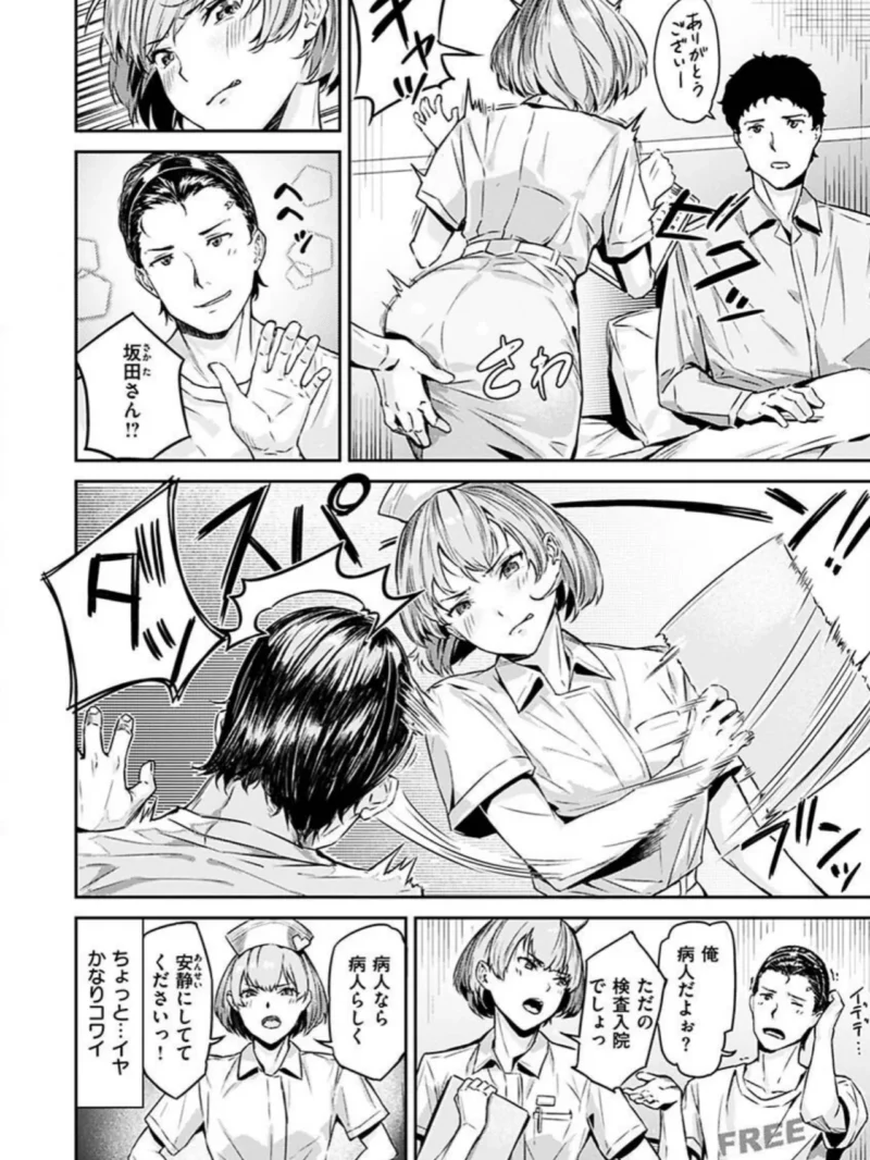 sample 31