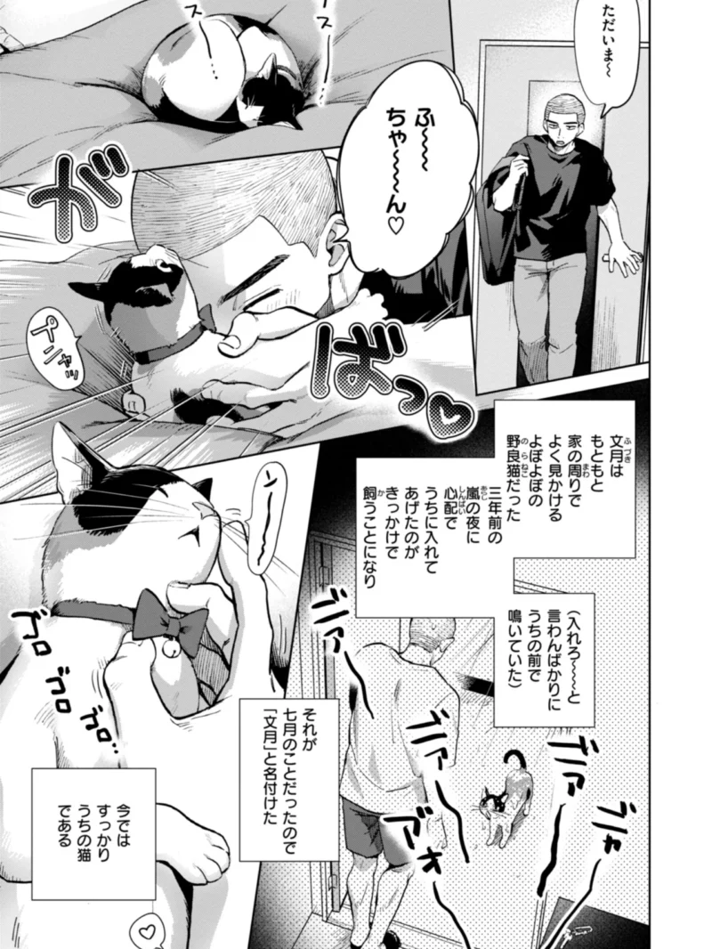 sample 32