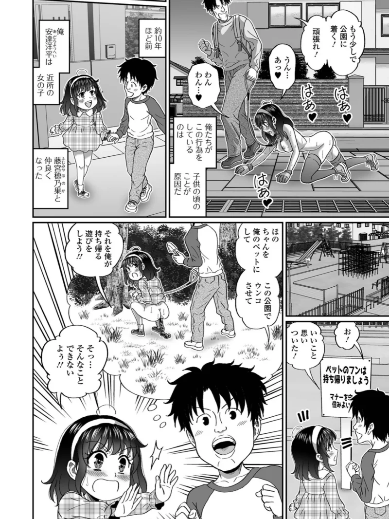 sample 31