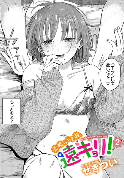 素晴らしき哉、遠キョリ！2 レビュー｜せきつい描く禁欲カップルえっちの評価と感想