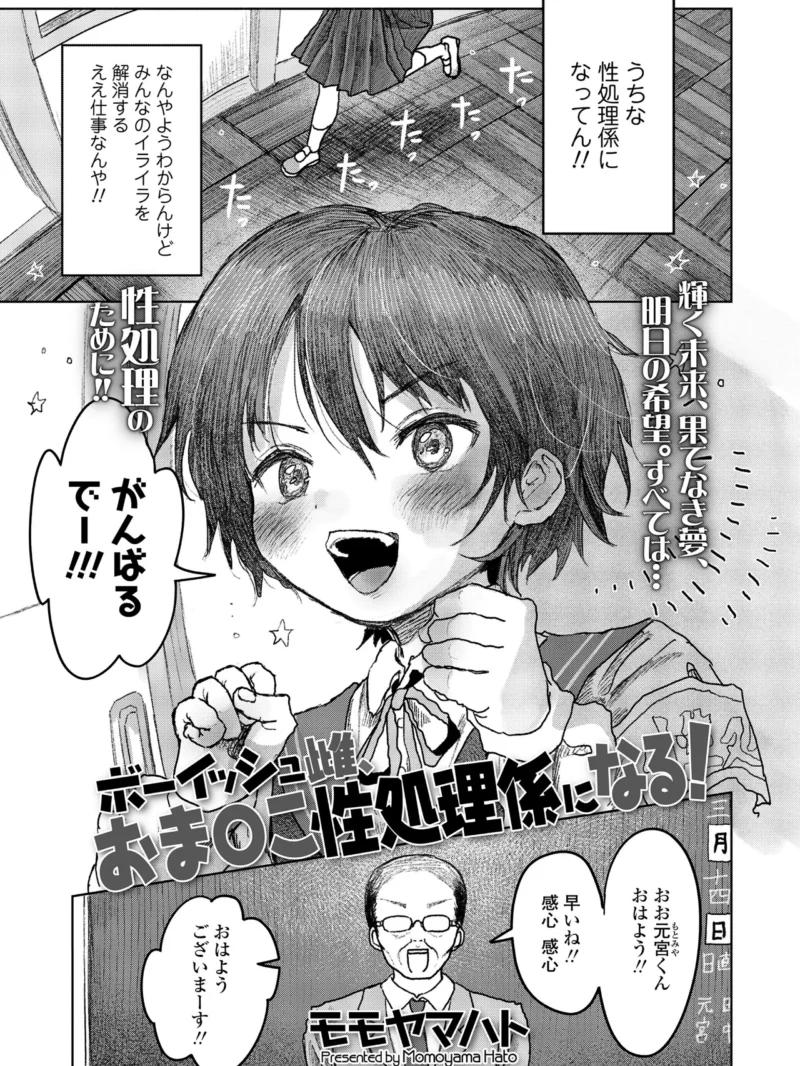 sample 12
