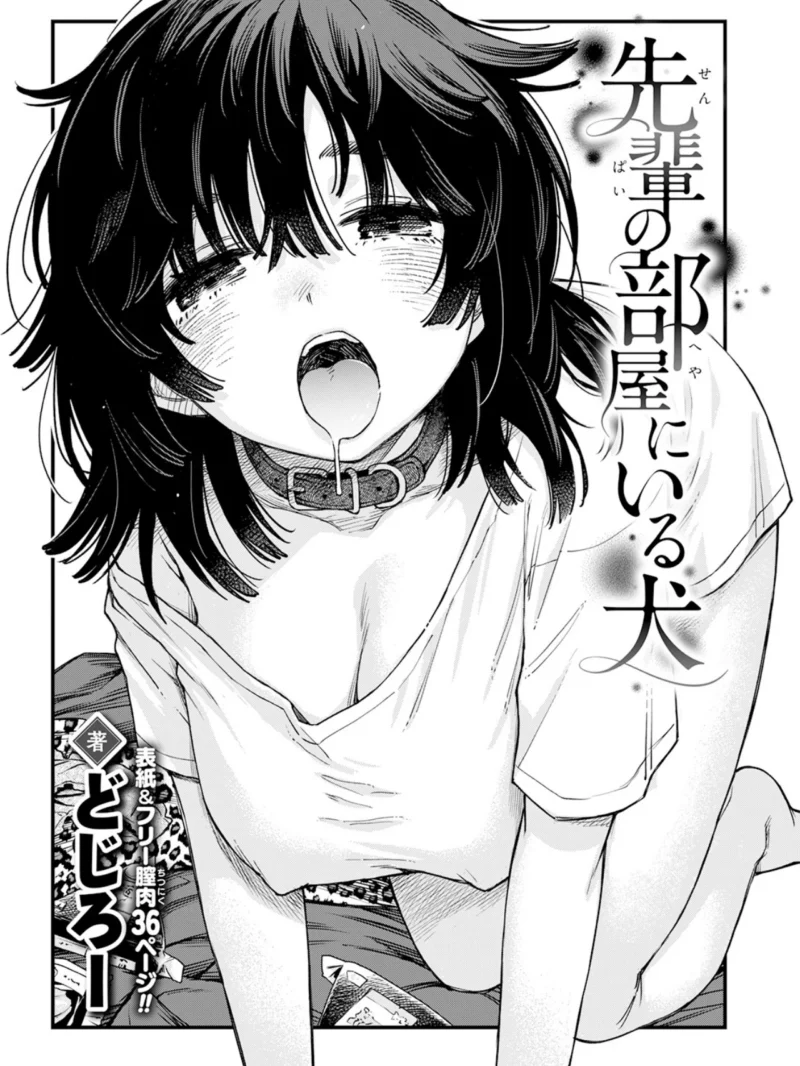sample 4