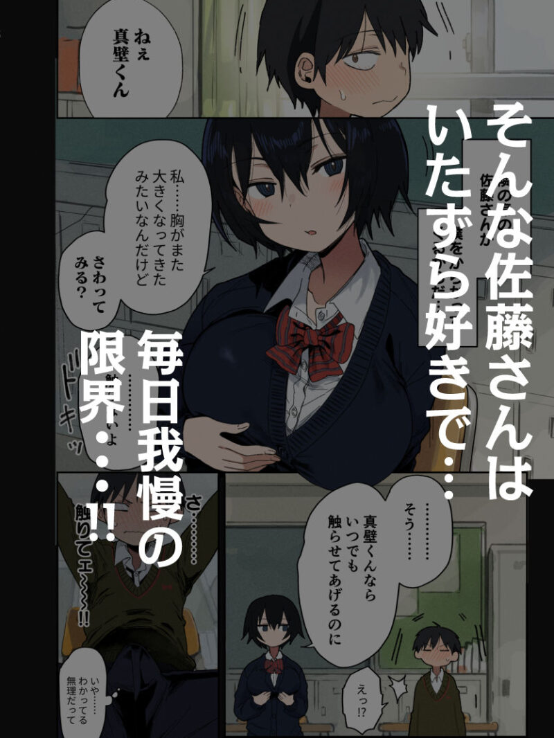 sample 3