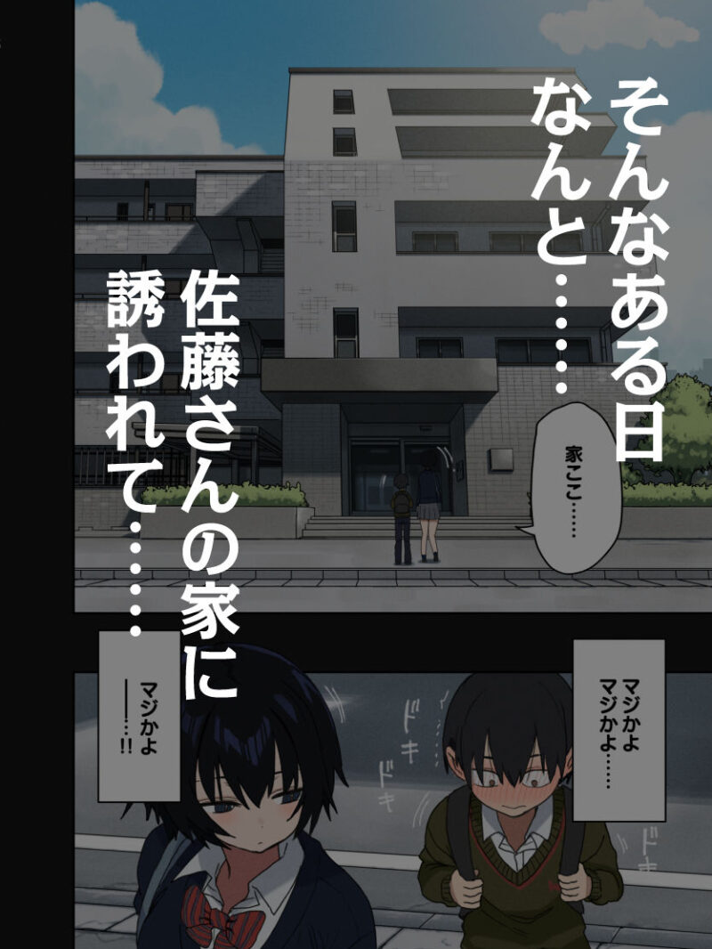 sample 4