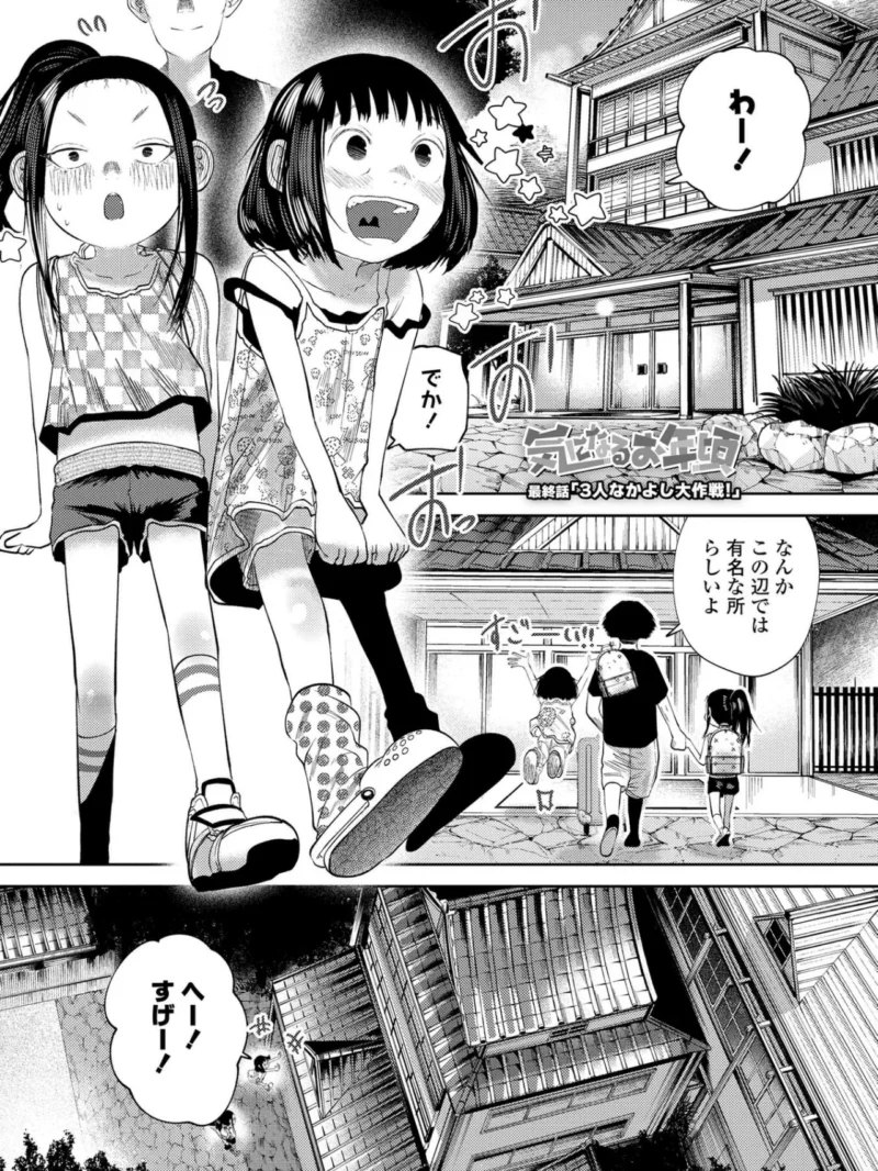 sample 12