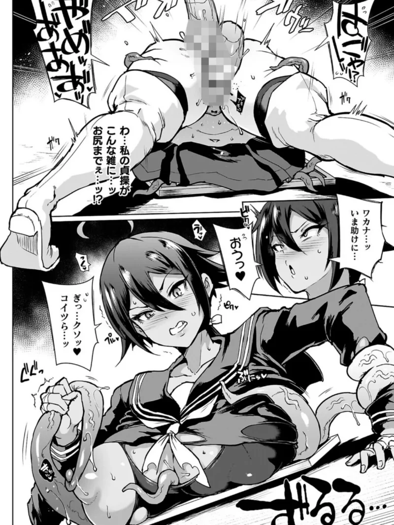 sample 12
