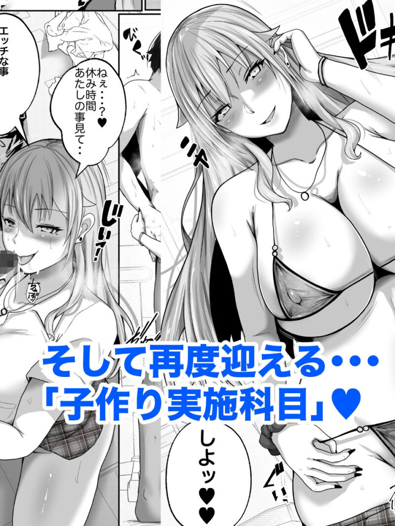 sample 8