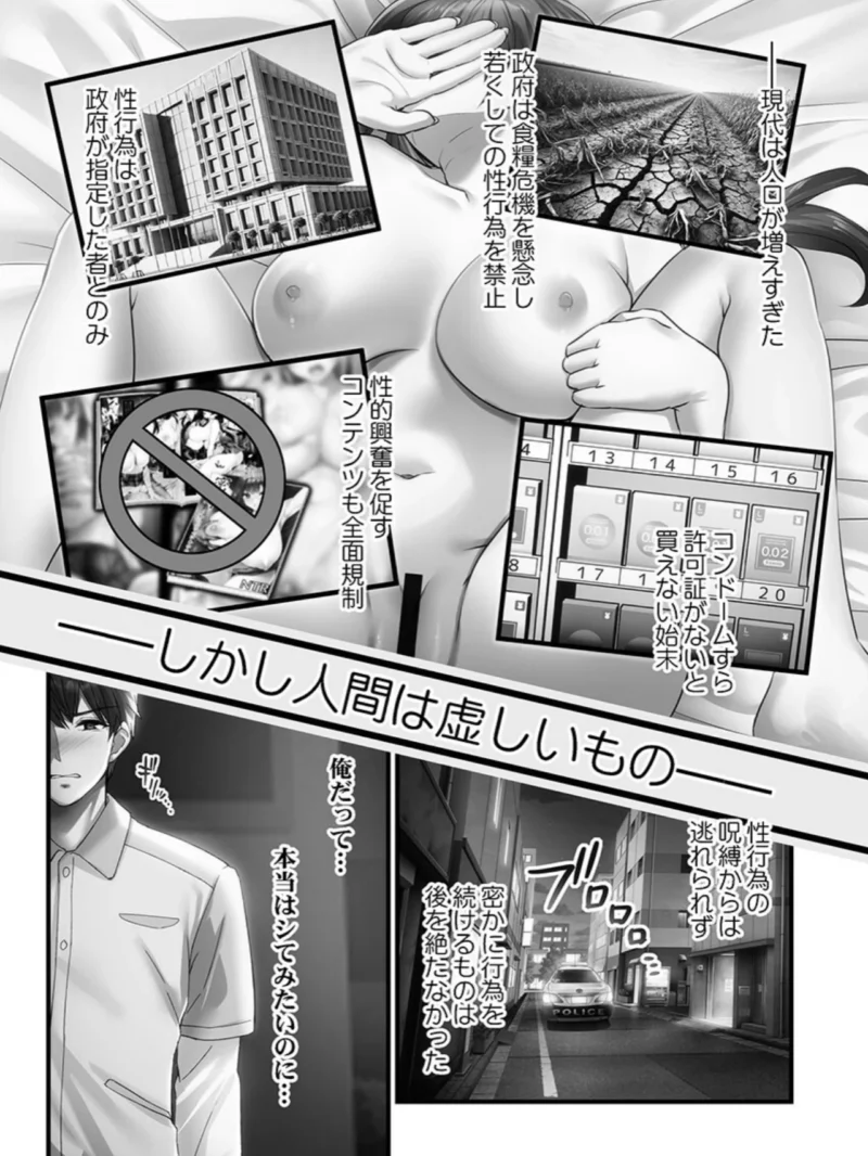 sample 5