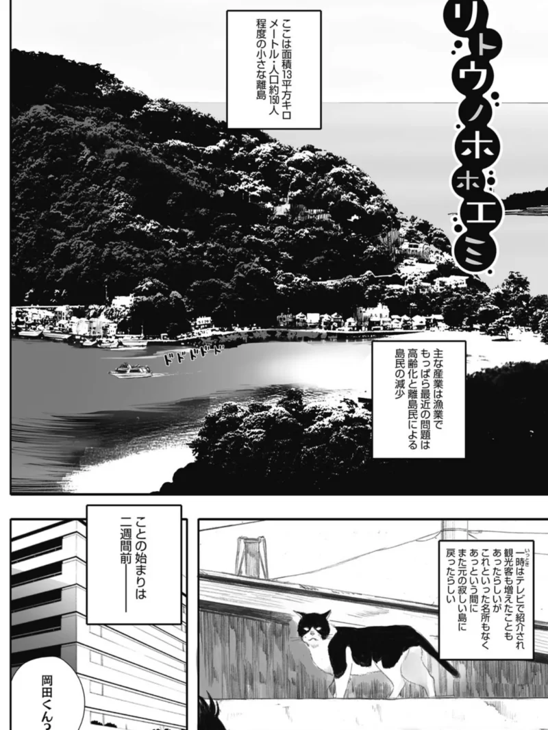 sample 7
