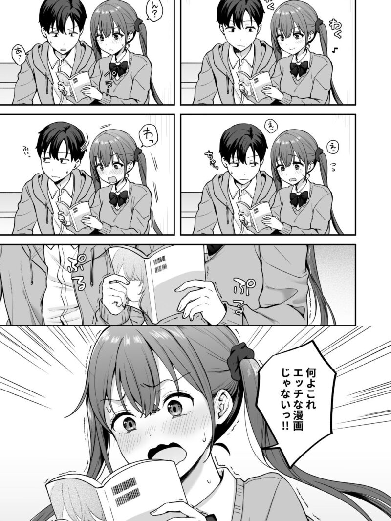 sample 4