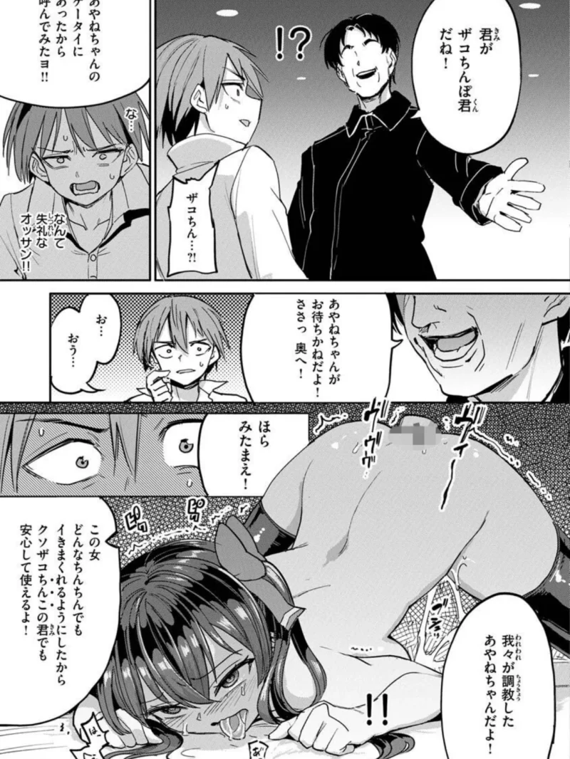 sample 13