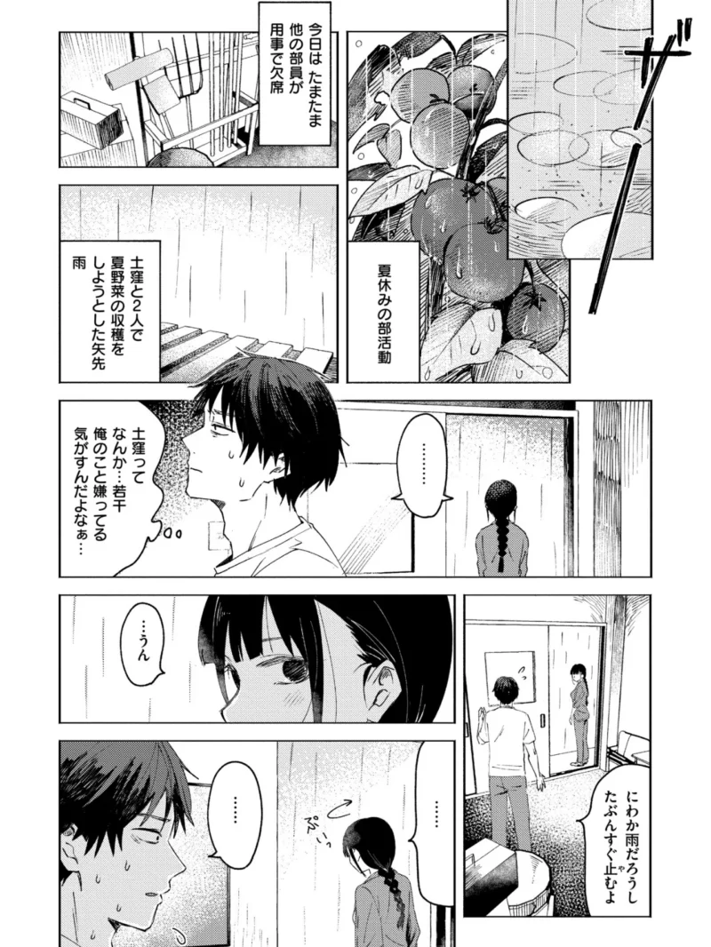 sample 11