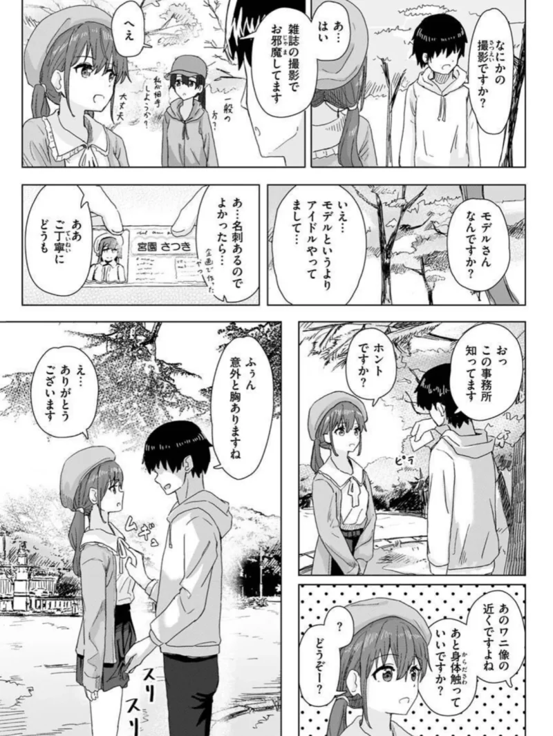 sample 4