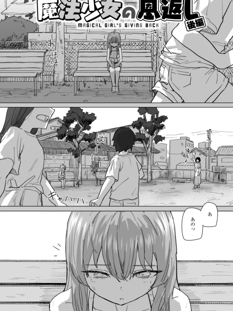 sample 27