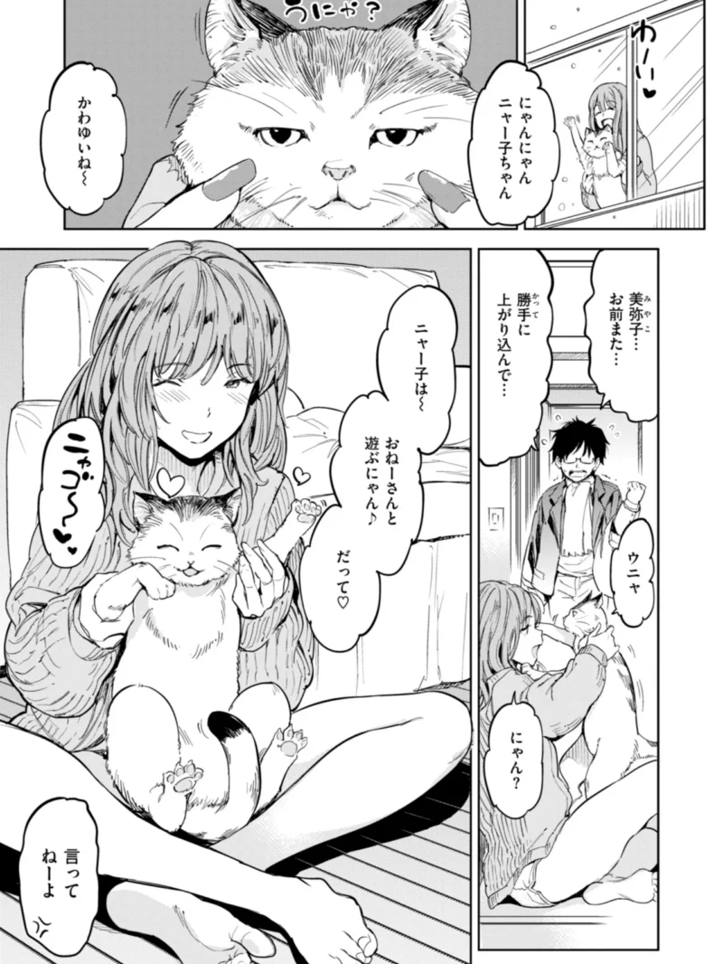 sample 33