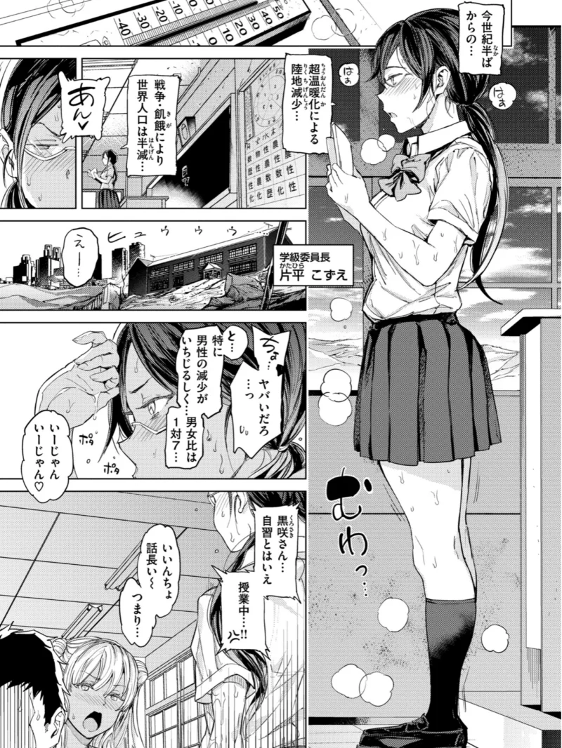 sample 20