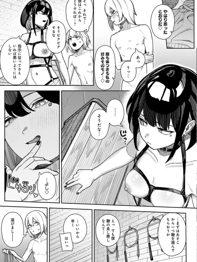 sample 5